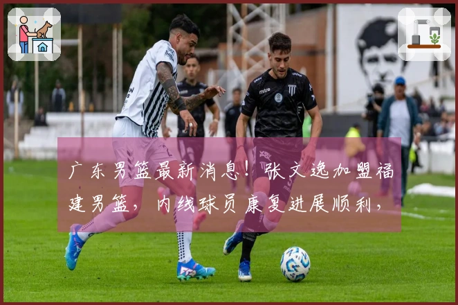 广东男篮最新消息！张文逸加盟福建男篮，内线球员康复进展顺利，计划下赛季复出，球队解除与萨林杰的合同。